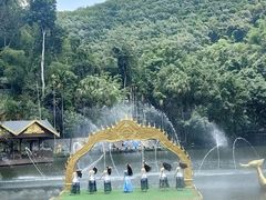 -西双版纳原始森林公园