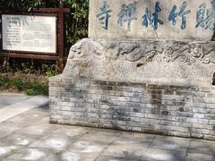 -镇江市南山风景名胜区竹林景区