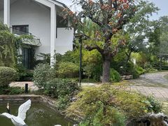 -广富林宰相府酒店·水云间