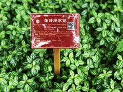 -广西壮族自治区药用植物园