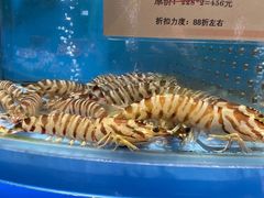 -city'super超·生活(国金中心商场店)
