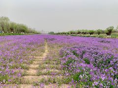 -汉长安城未央宫国家考古遗址公园