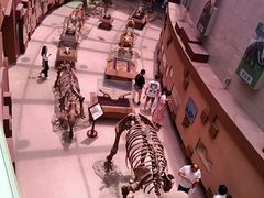 -陕西自然博物馆