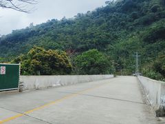 -海南热带雨林国家公园吊罗山景区