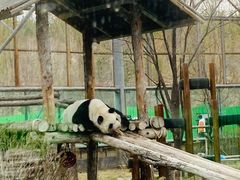 -鄂尔多斯野生动物园