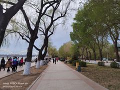 -人民防洪胜利纪念塔