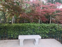 -西安市长乐公园