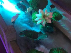 -韵秋荷(宝山龙湖天街店)
