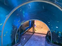 -瑞德姆美人鱼海底演艺主题餐厅(亚龙湾店)
