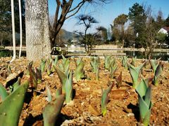 -杭州六谷生态休闲农庄有限公司