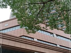 -东南大学附属中大医院(本部)