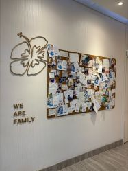 -上海首尔丽格医疗美容医院