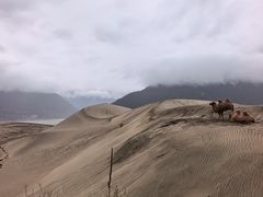 -佛掌沙丘