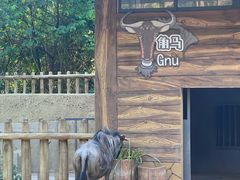 -广州动物园