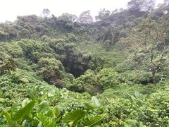 -海口火山口国家地质公园