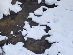 -少华山国家森林公园