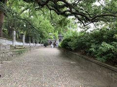 -溪口-滕头旅游景区