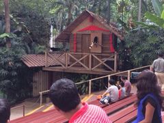 iphone_upload_pic-新加坡飞禽公园