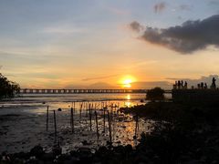 -宝安西湾红树林湿地公园