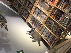-小时光咖啡馆(开森度假森林店)