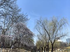 -元大都城垣遗址公园