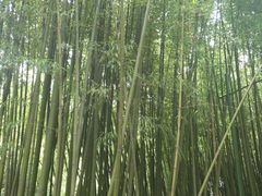 -竹泉村旅游度假区