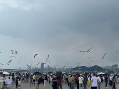 -星海广场