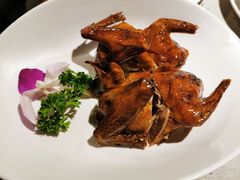 金牌乳鸽-吉旺港式餐厅(南方商城店)