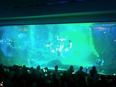 -海合安成都极地海洋公园