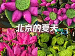 -建国门(地铁站)