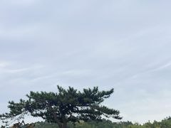 -庐山风景区花径公园