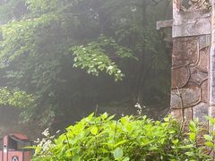 -庐山风景区花径公园