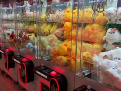 -汤姆熊欢乐世界(正大店)