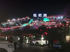 -枇杷园食为鲜火锅(南山店)