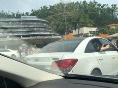 -深圳仙湖植物园-停车场