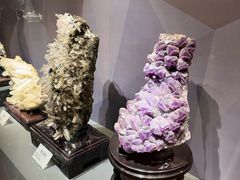 -湖南省地质博物馆