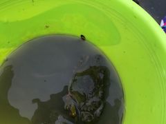 -北海金海湾红树林生态旅游区