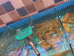 -妈妈菜舟山海鲜(定海古城店)