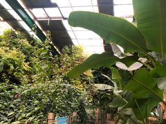 -第五季龙水凤港生态露营农场
