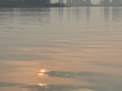-金鸡湖景区
