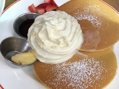 -Elephant Grounds(STARSTREET)