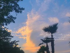 -美心红酒小镇游乐园