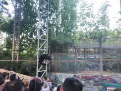 -清迈夜间动物园