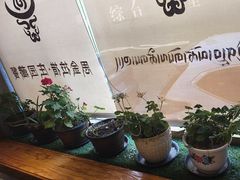 -思金拉措庄园藏餐(太阳岛店)