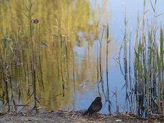 -天鹅湖体育公园