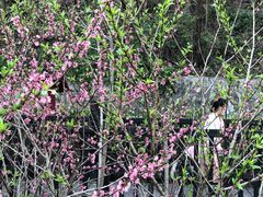 -仙海旅游度假区