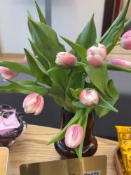 -ROYEA茹彦祛痘·问题肌肤修护中心