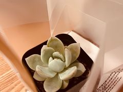 -四季餐厅(华苑店)