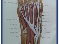 -广州中医药大学第一附属医院(总院)