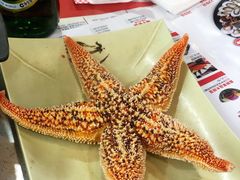 -大锅强·蒸海鲜青岛菜(吾悦广场店)